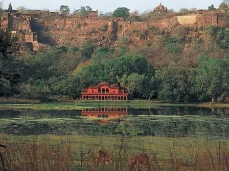 TheRajbagh jungle Home Resort