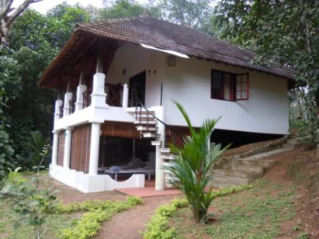 Duke`s Forest Lodge