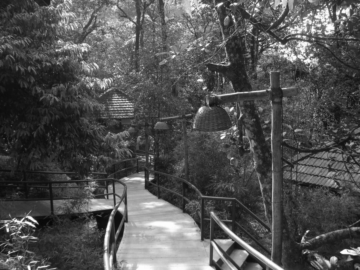 Image Description