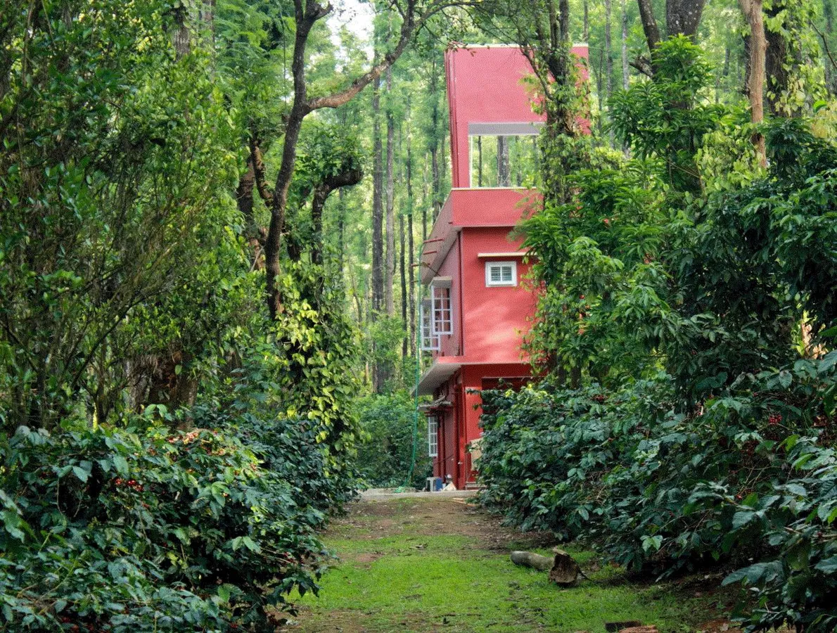 Saphali Estate Homestay
