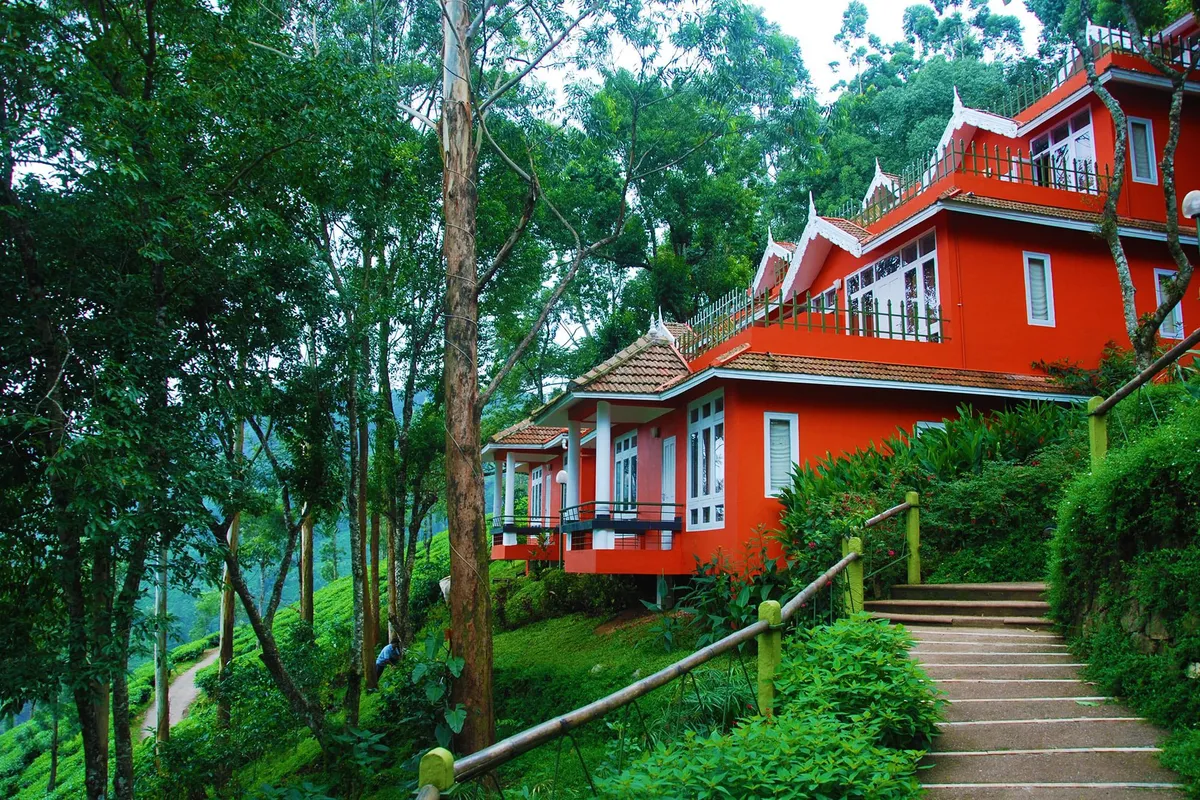 Tea Valley Resort