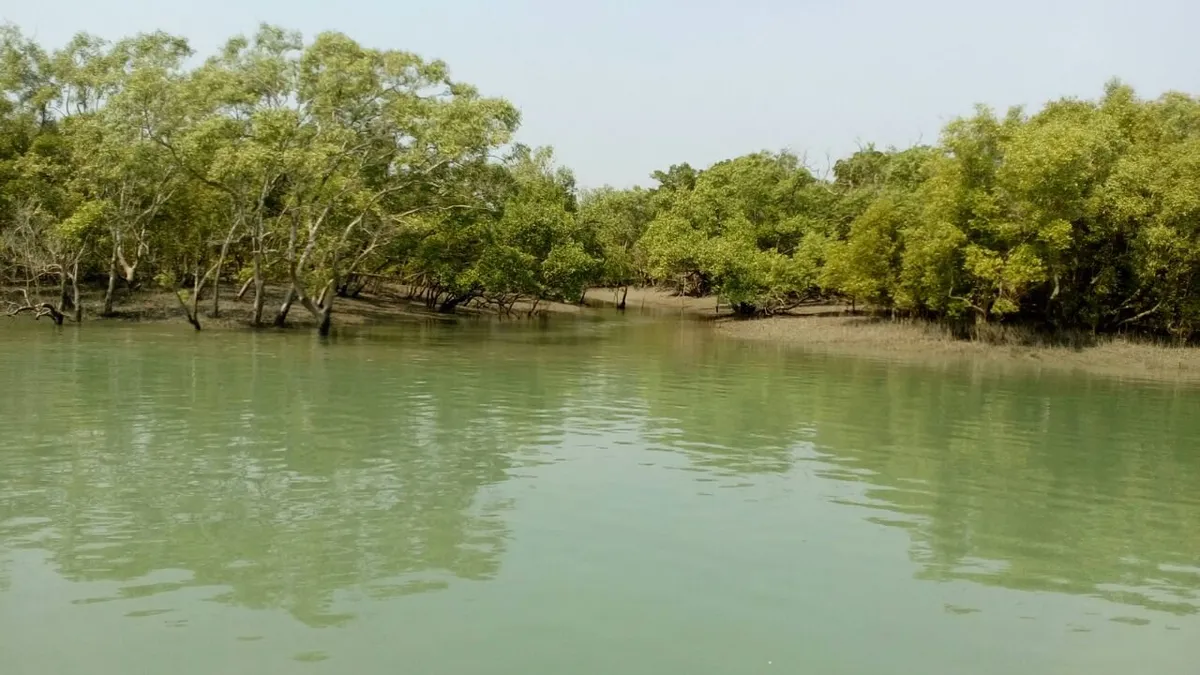 Sundarban Mangrove Wild Resort