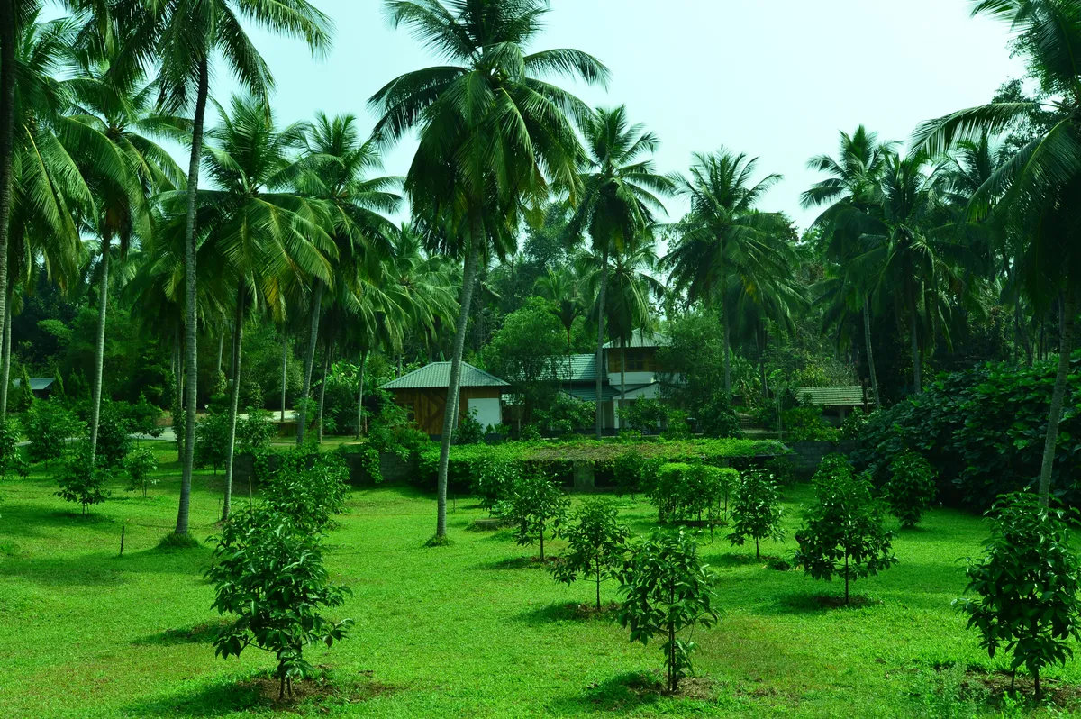 Teak Town - A Wandertrails Showcase