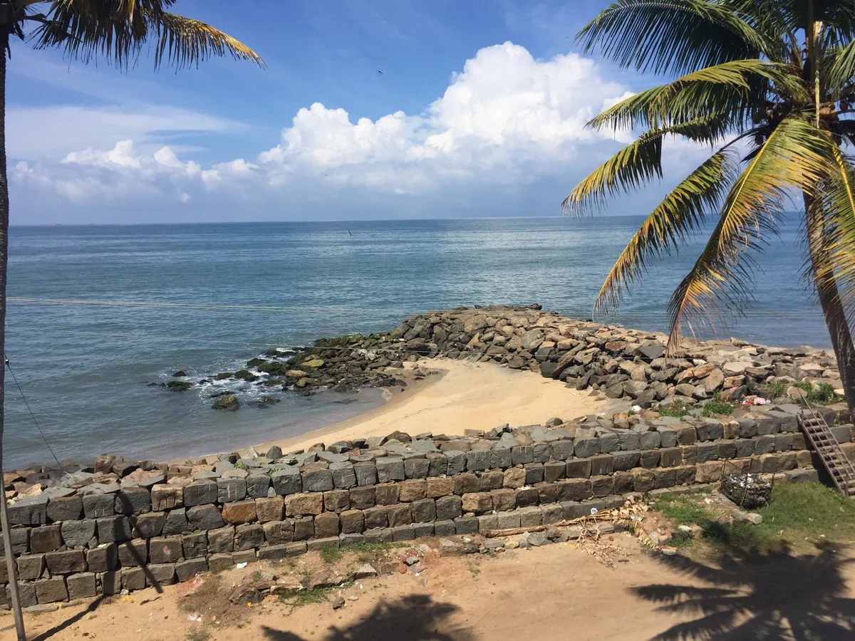 The Chameleon Beach Lodge