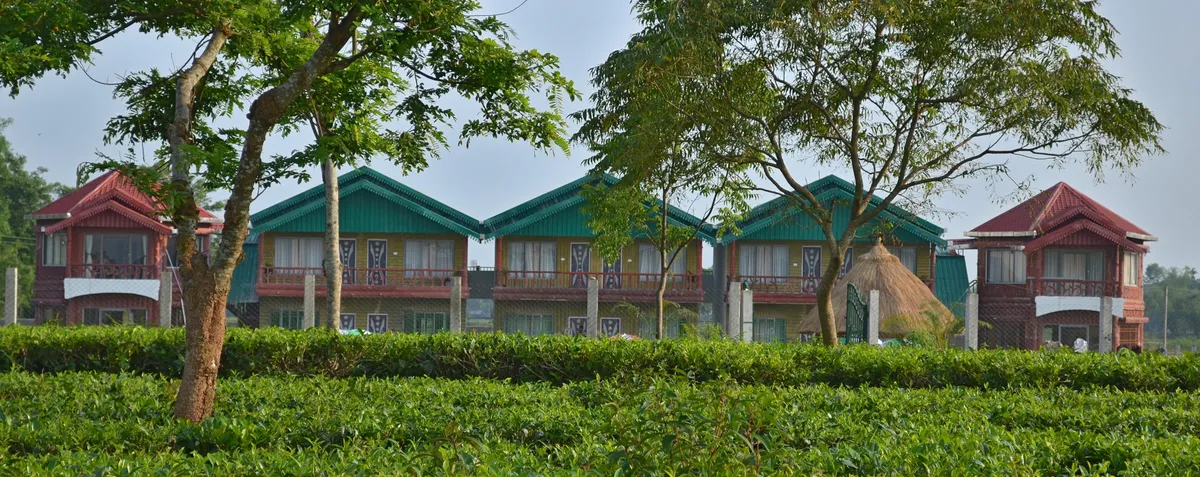 Green Tea Resort