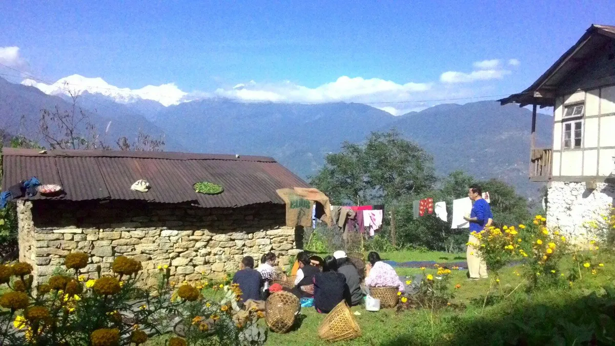 Image Description