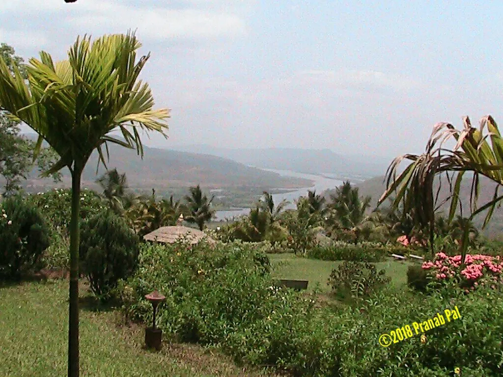 Image Description