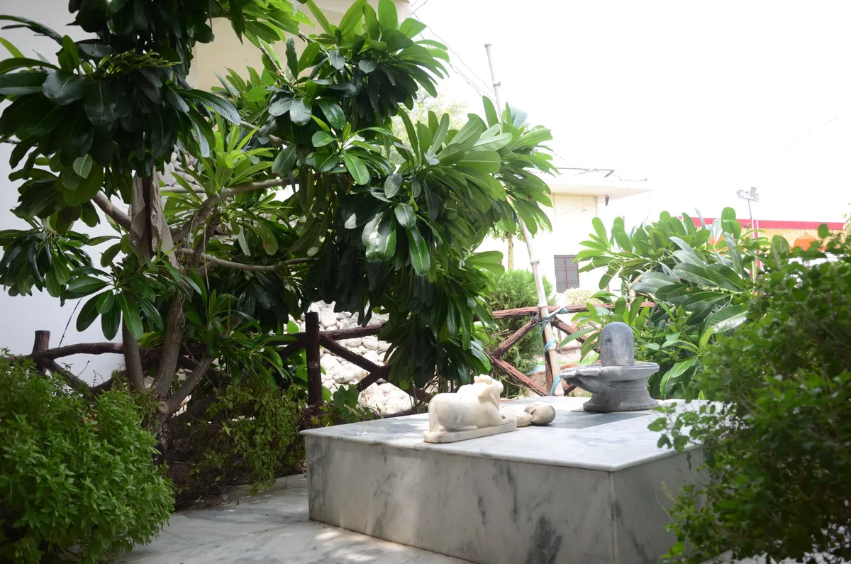The Royal Garden Guest House