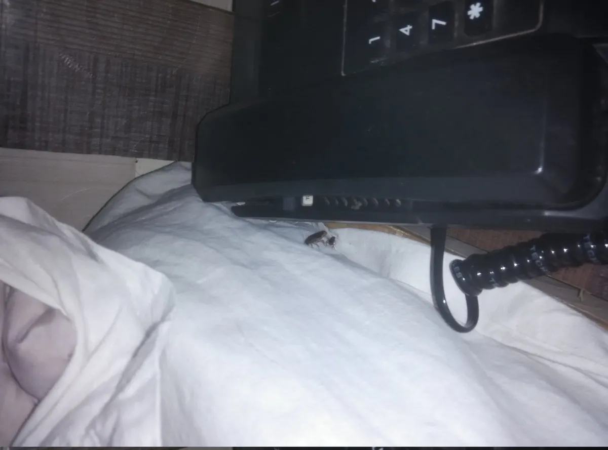 The Nest Hotel