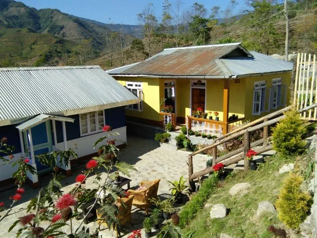 Image Description